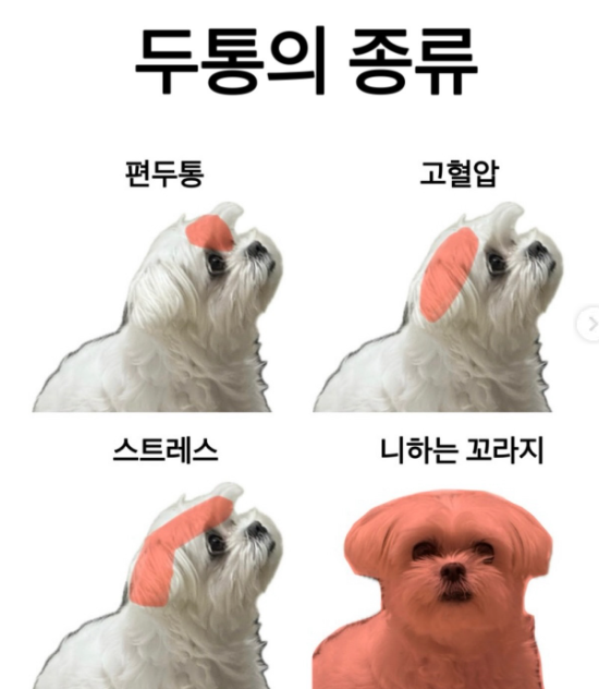 니 하는 꼬라지