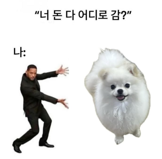 너 돈 다 어디로 감?