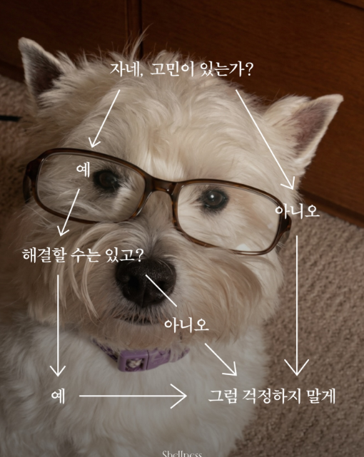 자네 고민이 있는가?