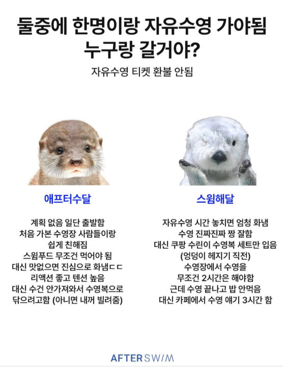 둘 중에 한명이랑 자유수영 가야됨