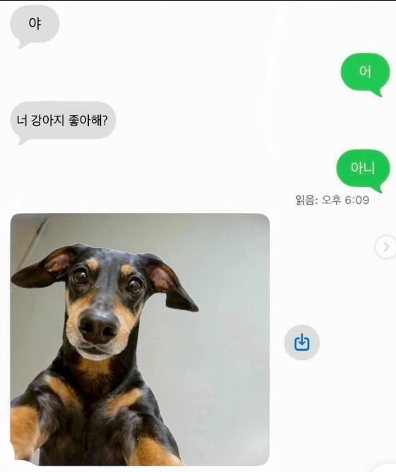 너 강아지 좋아해?