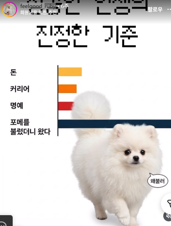 성공한 인생의 진정한 기준