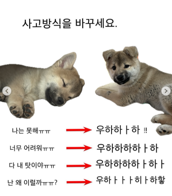 사고방식을 바꾸세요